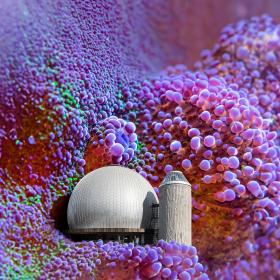 »100 Jahre Planetarium« Zeiss-Großplanetarium in einer Zellenlandschaft | Bild © SPB, Design: Ta-Trung Berlin